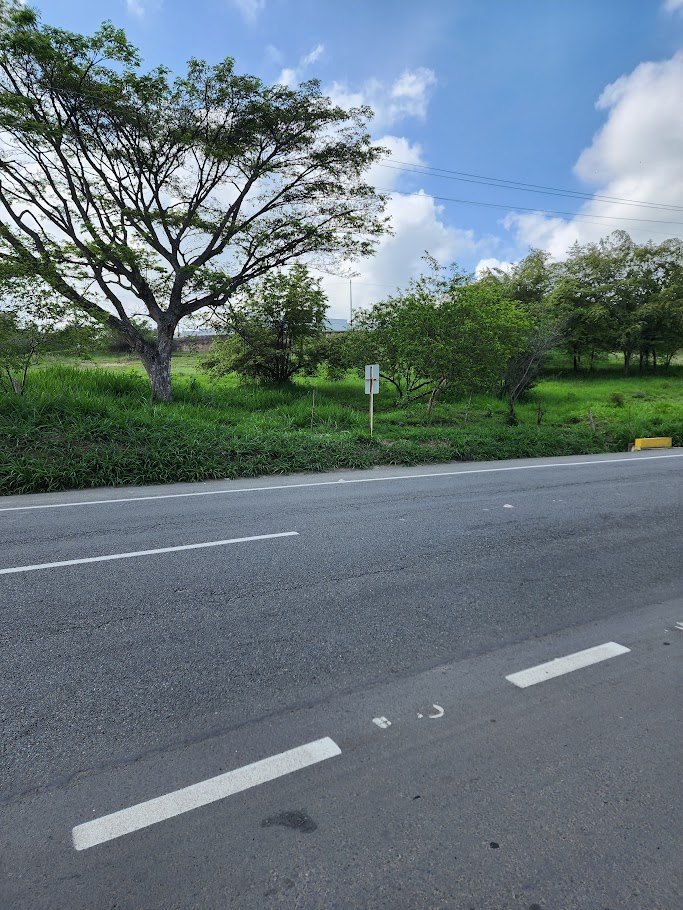 Lotes en Venta, Cartago,  - Cartago