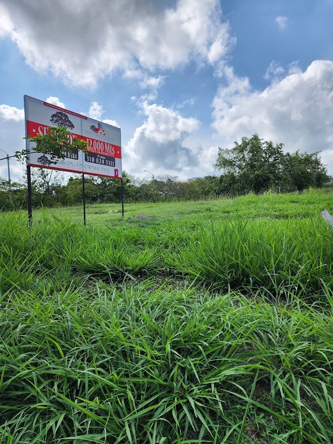 Lotes en Venta, Cartago,  - Cartago