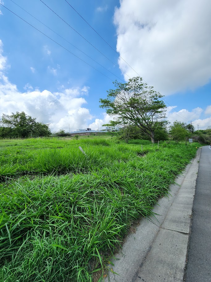 Lotes en Venta, Cartago,  - Cartago