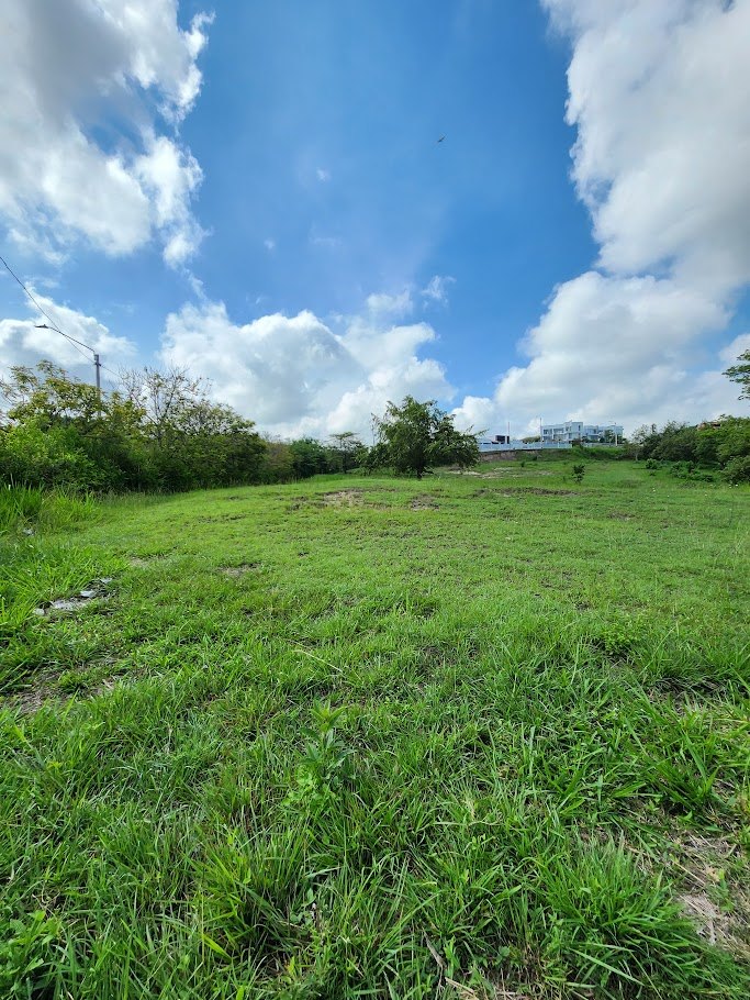 Lotes en Venta, Cartago,  - Cartago