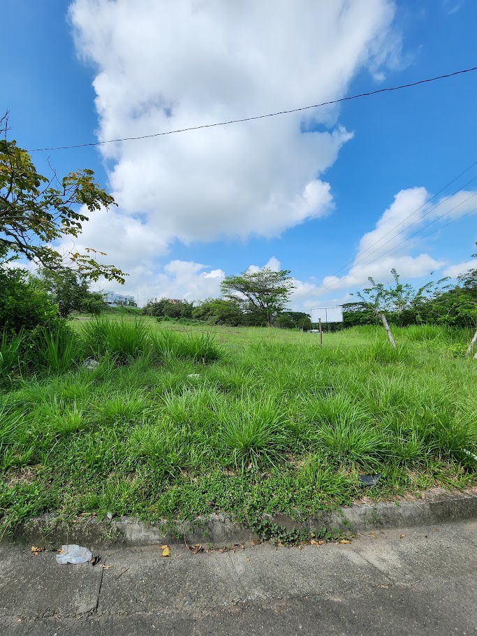 Lotes en Venta, Cartago,  - Cartago