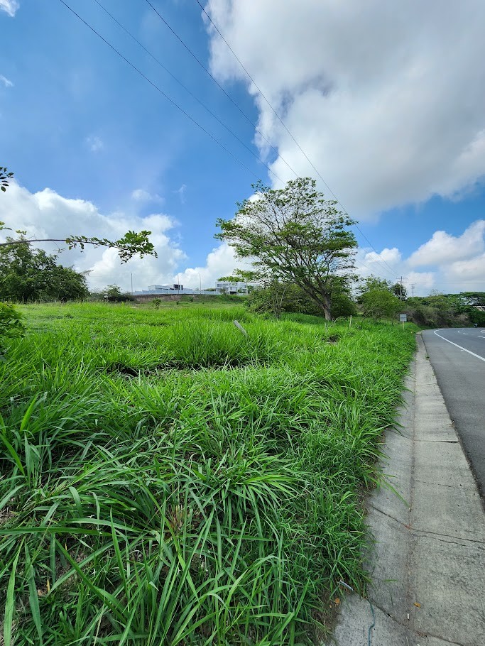 Lotes en Venta, Cartago,  - Cartago