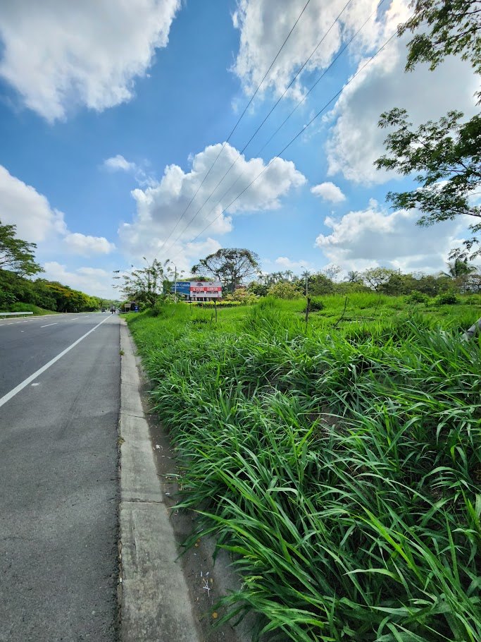 Lotes en Venta, Cartago,  - Cartago