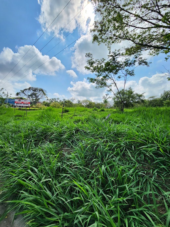 Lotes en Venta, Cartago,  - Cartago