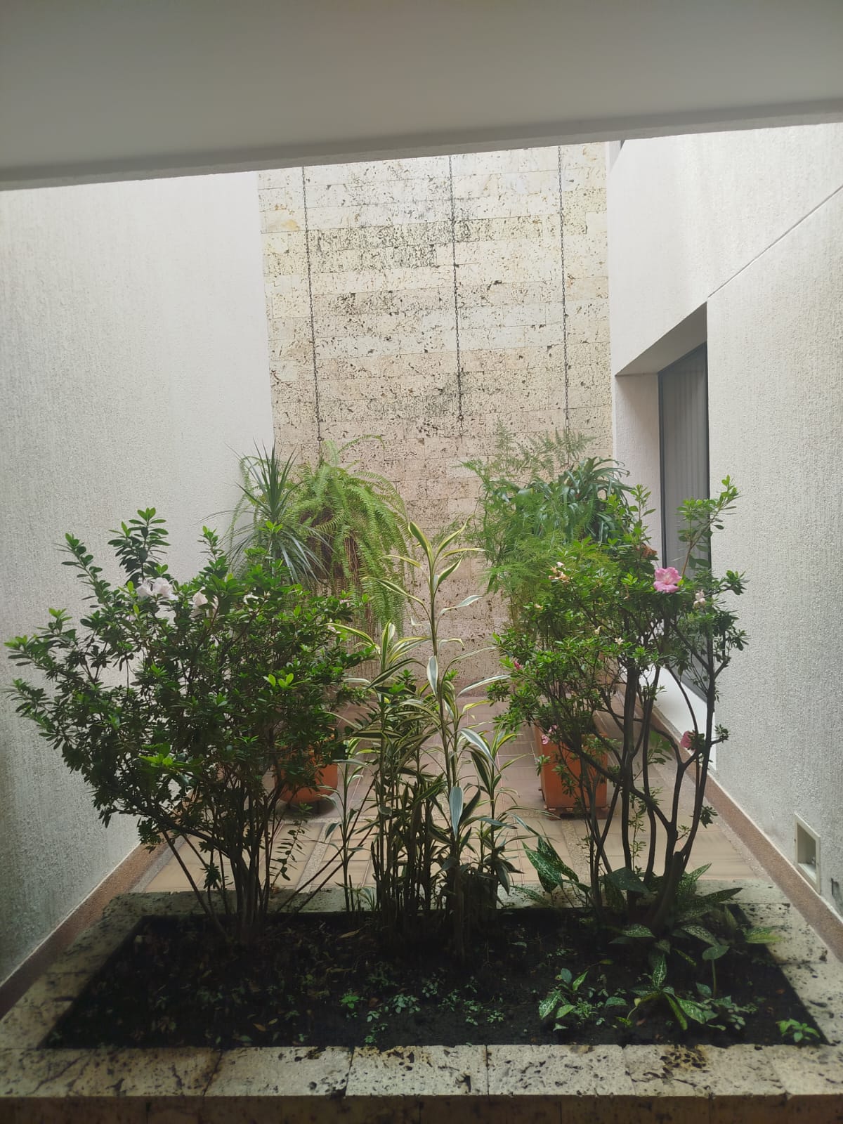 Apartamentos en Arriendo, Cartago,  - El Centro 