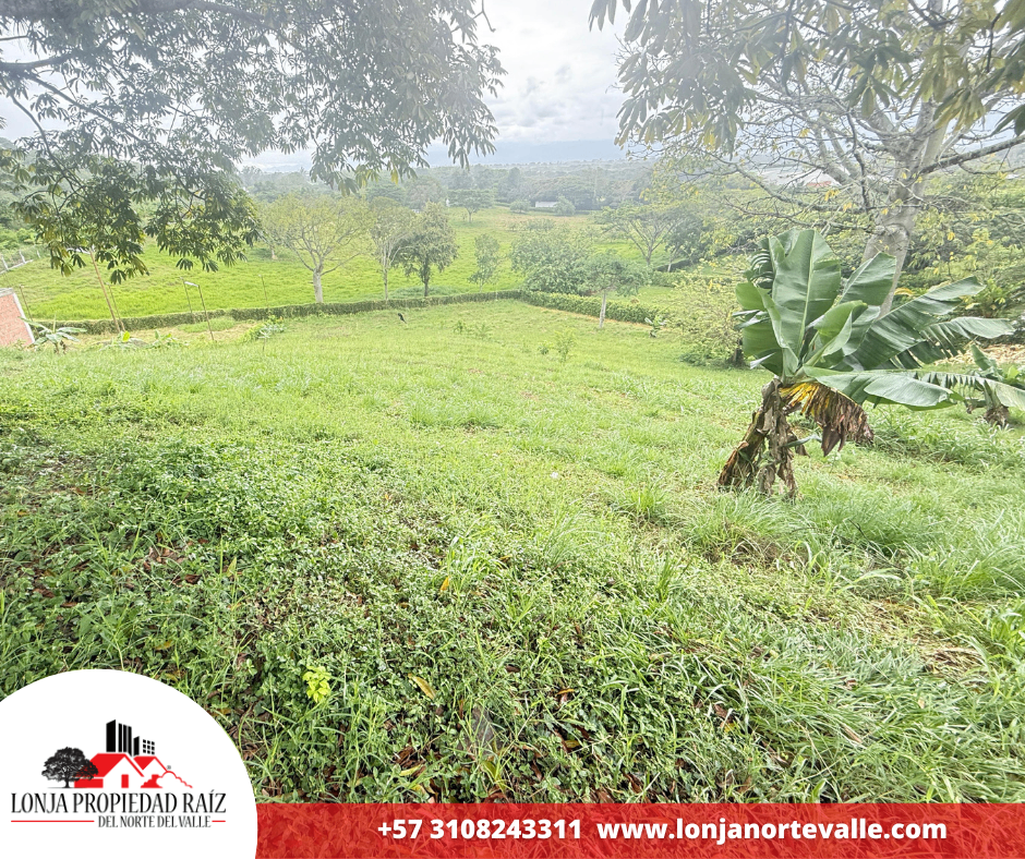 Lotes en Venta, Cartago,  - Zaragoza