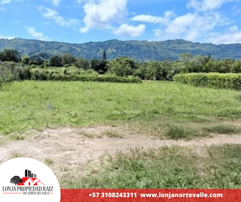 Lotes en Venta, Cartago, – Zaragoza
