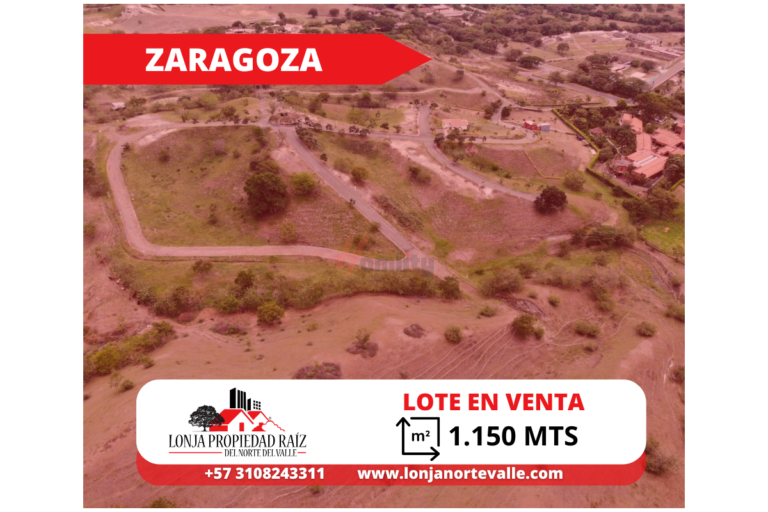 Lotes en Venta, Cartago, – Zaragoza