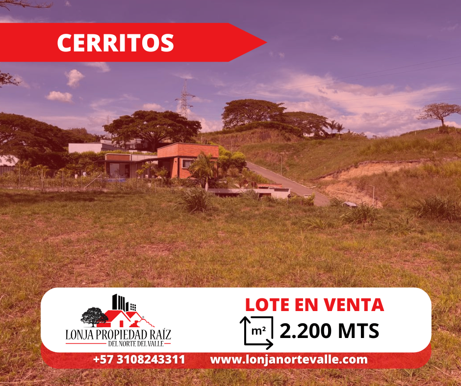 Lotes en Venta, Cartago, – Cartago