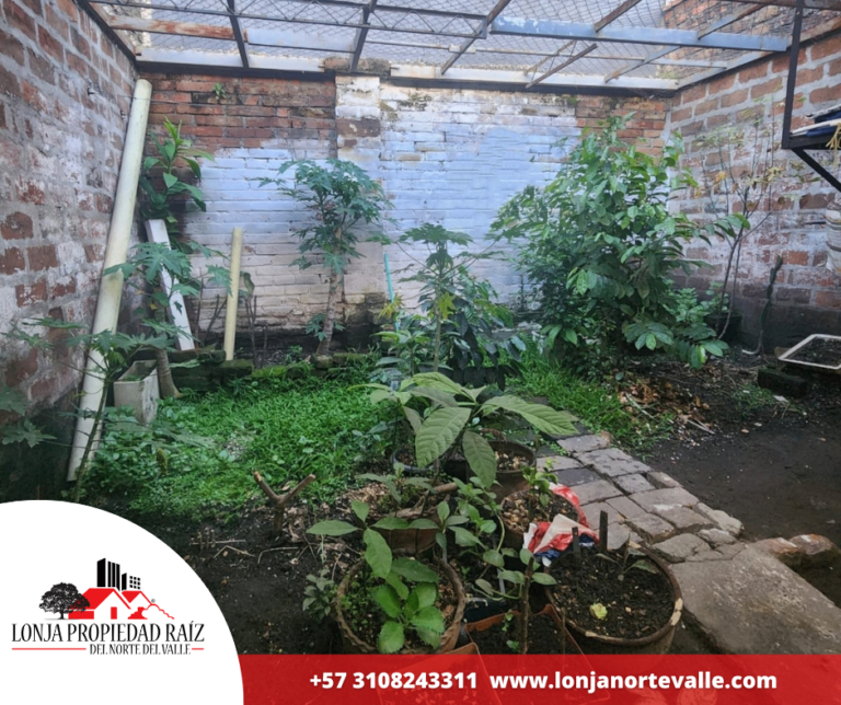 Casas en Venta, Cartago, – Guadalupe