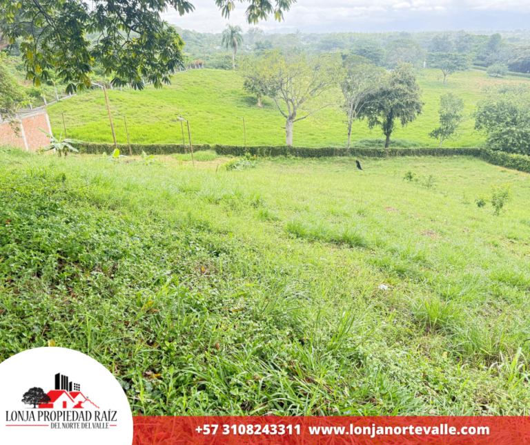 Lotes en Venta, Cartago, – Zaragoza