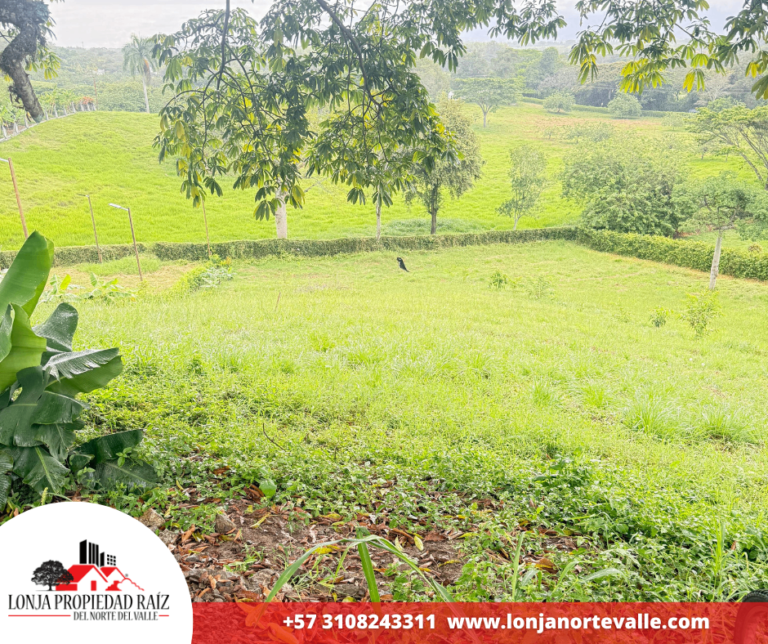 Lotes en Venta, Cartago, – Zaragoza
