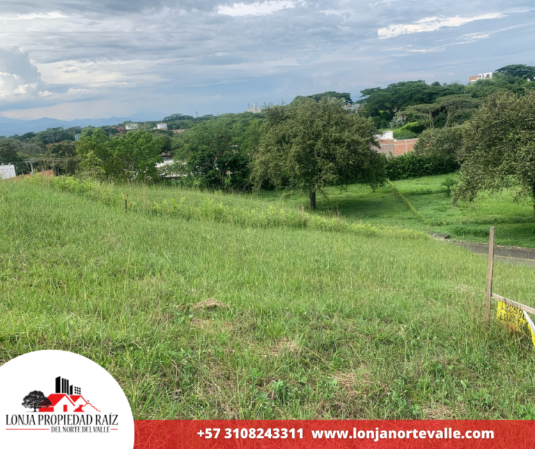 Lotes en Venta, Cartago, – Zaragoza