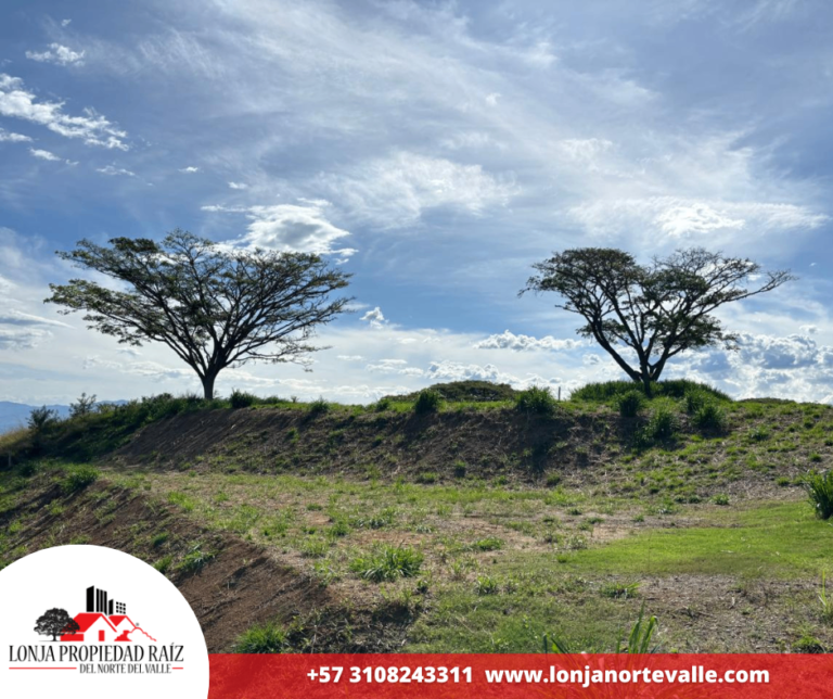 Lotes en Venta, Cartago, – Cartago