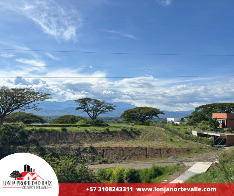 Lotes en Venta, Cartago, – Cartago