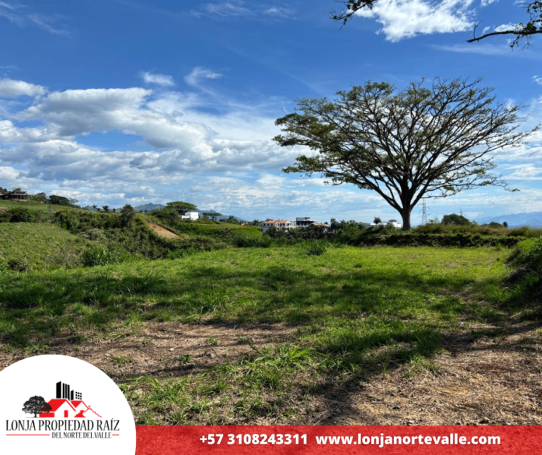 Lotes en Venta, Cartago, – Cartago