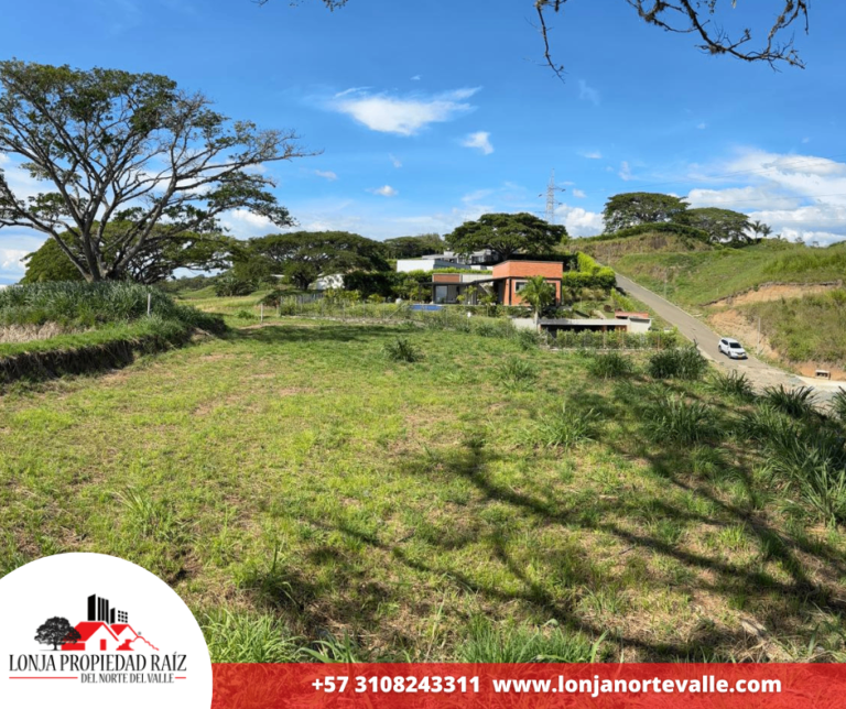 Lotes en Venta, Cartago, – Cartago